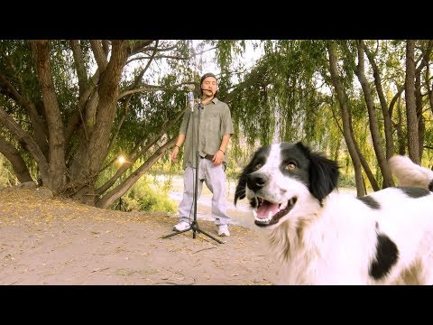 [Audio Directo] CHYSTEMC - TE APAÑO (cypher vol. 2)