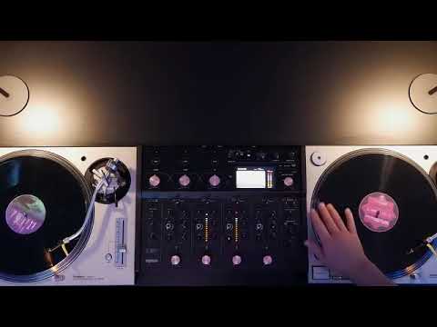 Classic House Vinyl DJ Set 1990–2005 | Timeless Club Anthems | Back to House