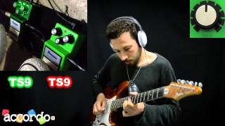 Video thumbnail for Ibanez TS9 30th anniversary VS Standard by accordoTV