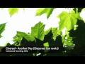 Cinereal - Another Day (Empyreal Sun remix ...