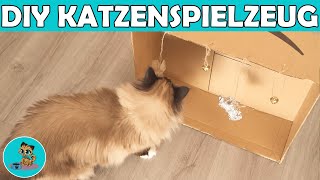 Katzenspielzeug selber basteln | Günstige Bastelideen DIY ✅