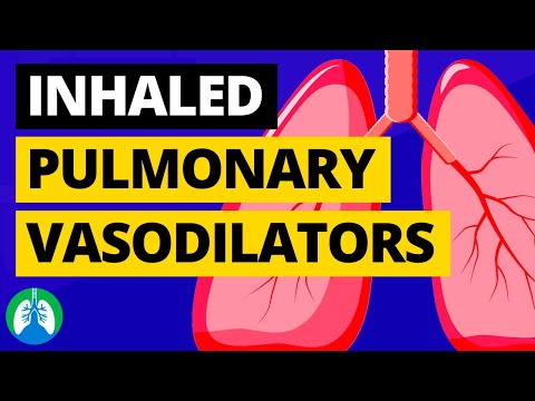 Inhaled Pulmonary Vasodilators (Medical Definition) | Quick Explainer Video