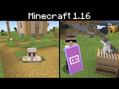 Minecraft 1.16 - Jellie Cat, Angry Piglins, Bug Fixes and Optimisations
