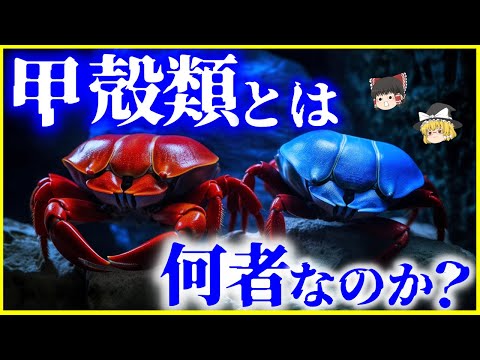 甲殻類 - 例と特徴