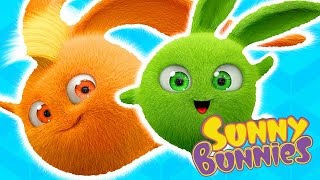 Videos For Kids Sunny Bunnies Special Compilation 