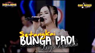 Download lagu SETANGKAI BUNGA PADI Tasya Rosmala NEW PALLAPA, RESPANEL #onemusic mp3