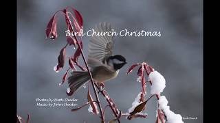 Bird Church Christmas