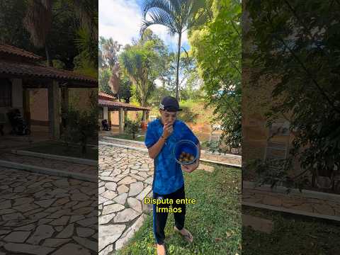 Disputa entre irmãos 🤭🤣