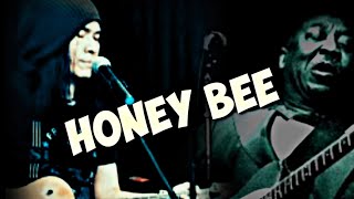 HONEY BEE-MUDDY WATERS / FINGERSTYLE COVER