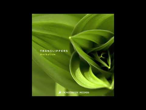 Translippers - Secret Path (Album Version) | Chill Space
