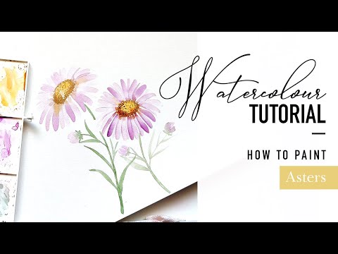 How to Paint Asters in Watercolour - Hello Clarice Tutorials