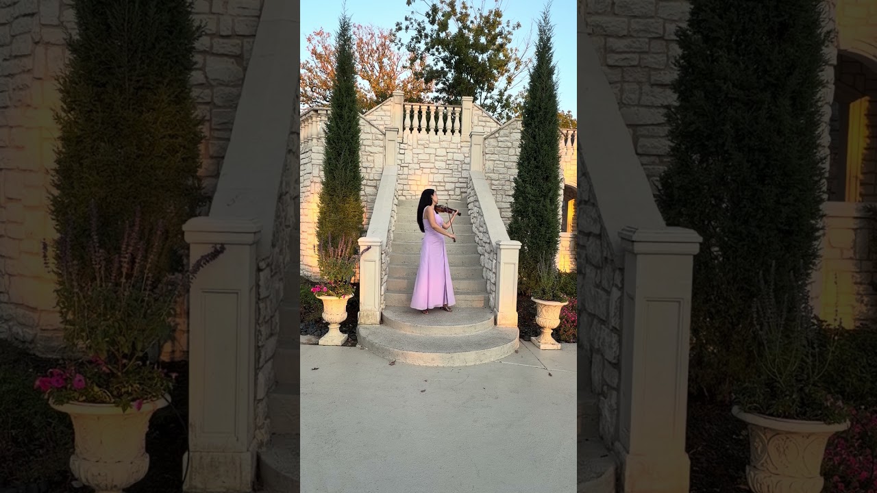 Promotional video thumbnail 1 for Alma Elegance Violin