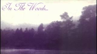 In the woods - Yearning the seeds of a new dimension