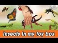 EN 57 Insects In My Toy Box ㅣinsects NameㅣCoCosToy