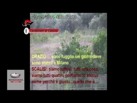 Quando le articolazioni fanno male in modo sano dal vivo Infortunio sportivo dellarticolazione della spalla