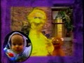 Big Bird And Baby Bear On The Oprah Winfrey Show 1998