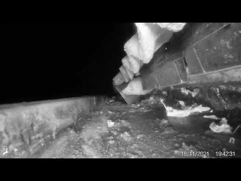 Steenmarter Franeker