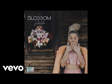 Sha Sha - Abondaba ft. Samthing Soweto