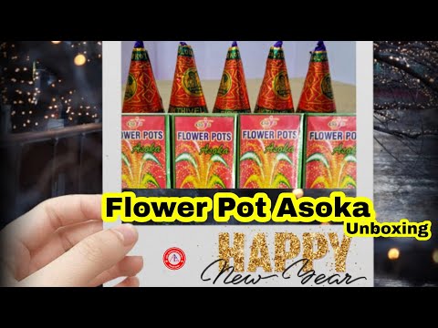 Flower Pot Asoka Unboxing and Comparison video|Mega Size Flower pots|Bijili vedi|Srigurulakshmi|