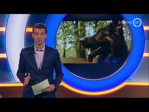 GLD Nieuws 29 april 2015