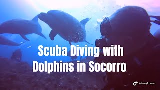 Scuba Diving with Dolphins - Socorro Islands, Mexico