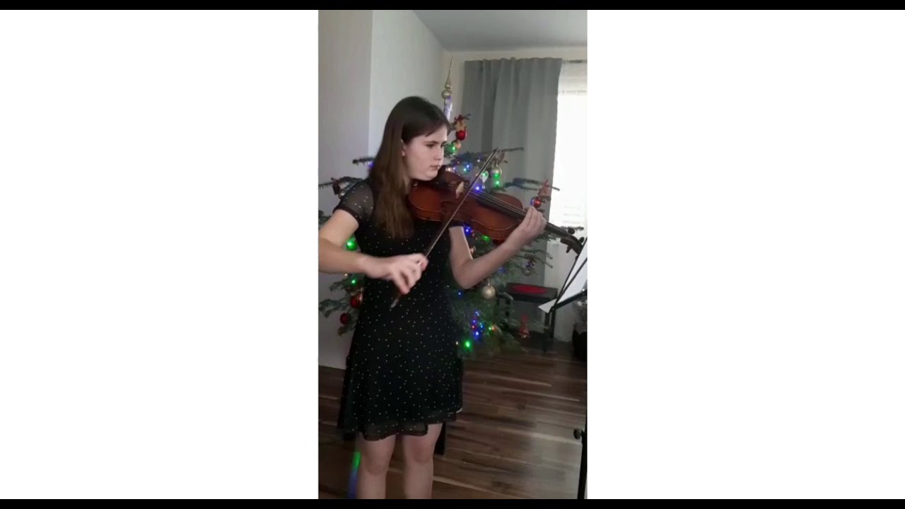 Koncert našich huslistov