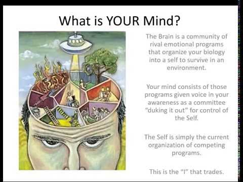 2015 11 03 16 31 Mastering Your Emotions for Highly Effective Trading