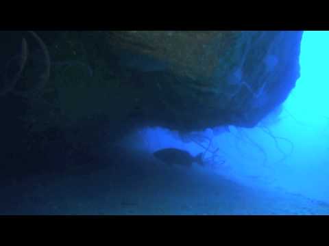 Pedra da Baleia (Rock Whale)