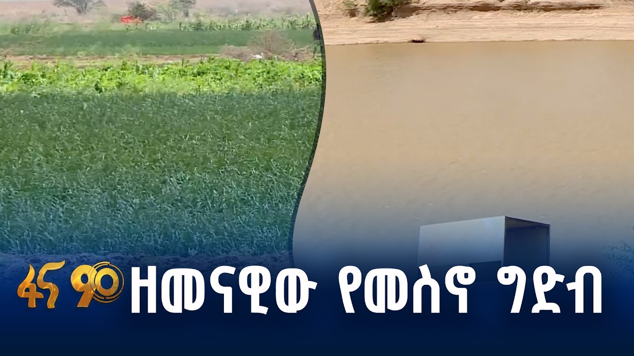 ከእርዳታ ጠባቂነት ወደ አምራችነት