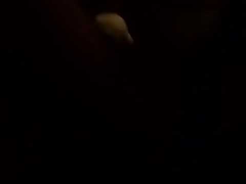 Sterly Bo - Sucka Free