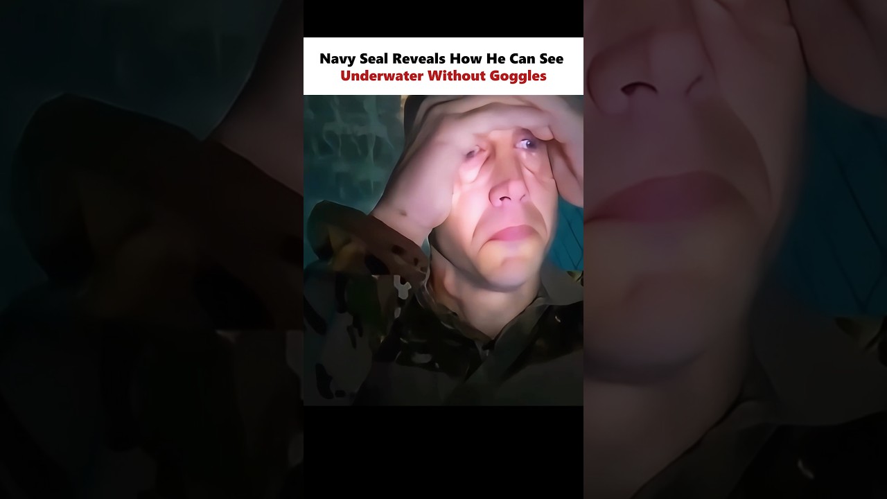 ��������� ����� �� ����� - ��� ������ ����