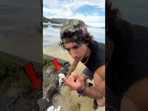 Eu Comi essa Espuma ⚠️