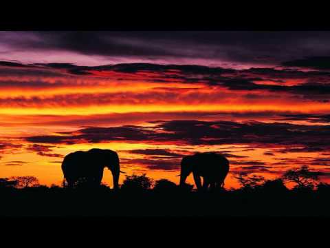 Manuel Juvera vs. Vodka - Solar Scent (SlaviX Remix) [HD]