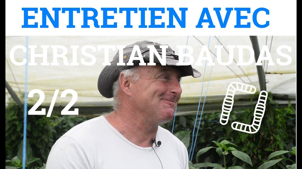 2/2 Christian BAUDAS - Poivrons, fraises et raisin de table