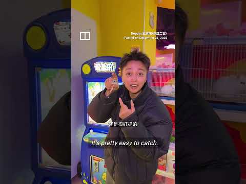 Chinese game centre slammed for using live hamsters in claw machine