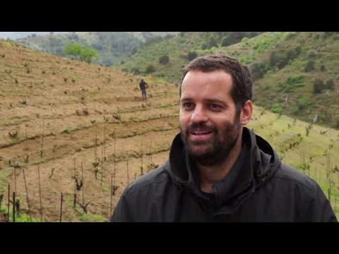 Albert Costa. Propietari i enòleg del Celler Vall Llach (Porrera)