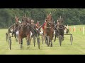 250 toeschouwers genieten van enige Emmeloordse paardenkoers