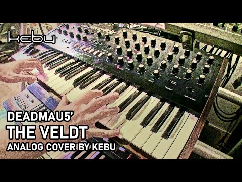 Deadmau5 - The Veldt (analog cover by Kebu)