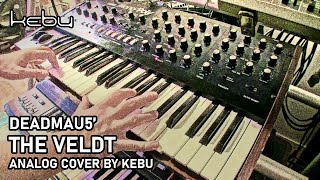 Deadmau5 - The Veldt (analog cover by Kebu)