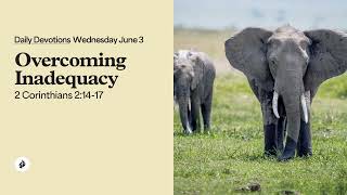 Overcoming Inadequacy – Daily Devotional