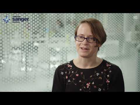 Meet some of our Postdocs working at Wellcome Sanger Institute