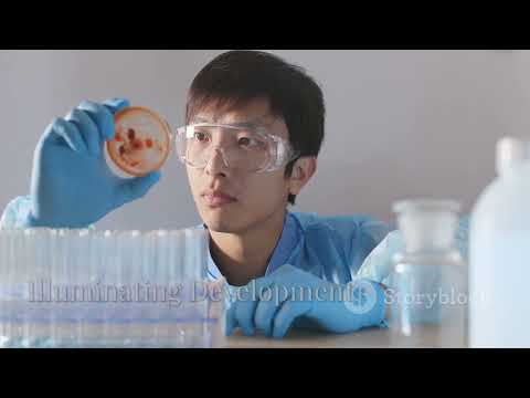 Fate Maps Embryology