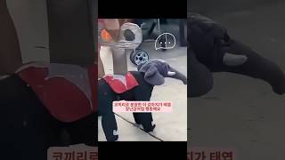 유튜브 썸네일