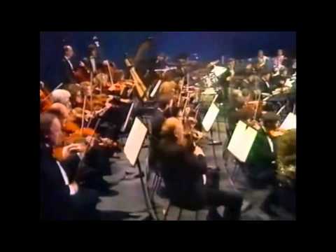 Dan ljubezni - orchestral version - Revijski orkester RTV Slovenija