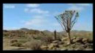 Cat Power - Naked If I Want To