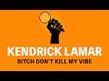 Kendrick Lamar Bitch Don T Kill My Vibe Karaoke