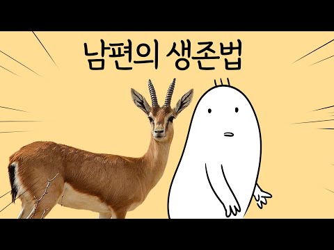 에겐남 남편의 생존법