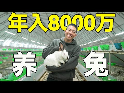 , title : '四川一个山沟子，养兔一年赚8000万，麻辣兔头巴适得板！【亚军频道】'