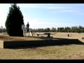 2010 168 Avi