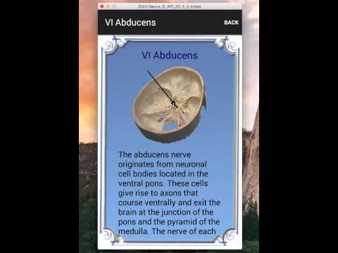 Cranial Nerves Video